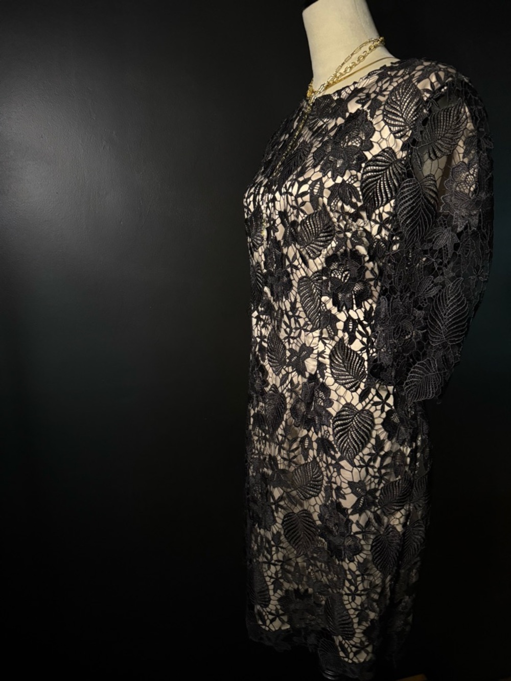 Elegant Black Lace Sheath Dress with Nude Lining - Picture 5 of 7